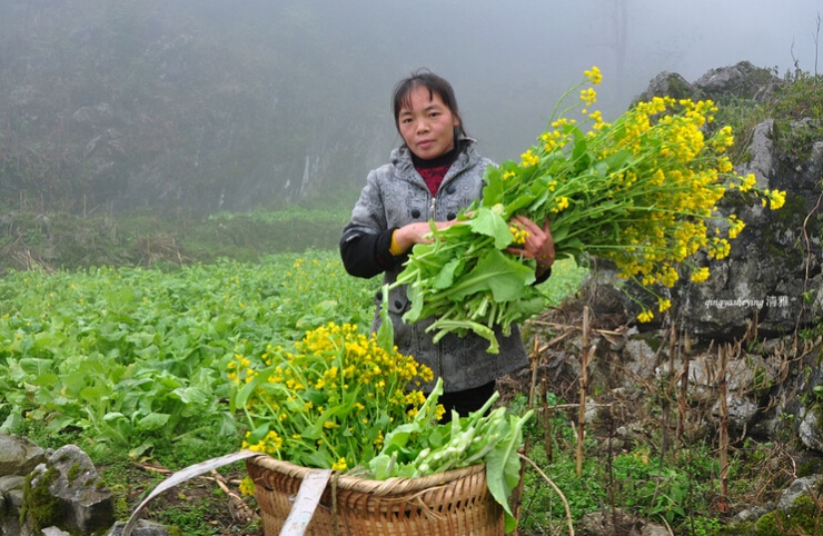 中国桃花源：20户人家住山洞里 男耕女织