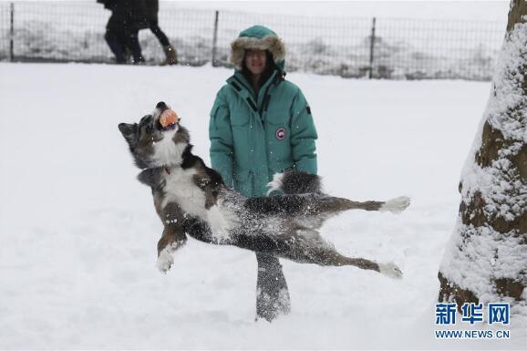 【天津装修】美国纽约遭遇暴风雪 部分地区学校停课商铺关门（图）