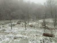 【天津装饰】 津城今冬首雪 飘落蓟州山区